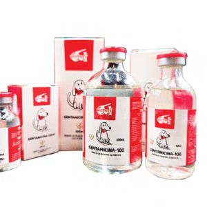 Home gentamicina 100 antibiÓtico (cont. net. 100 ml.)