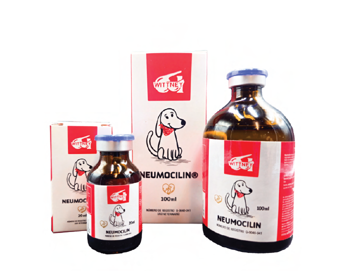 neumocilin expectorante (cont. net. 100 ml.) neumocilin expectorante (cont. net. 100 ml.)