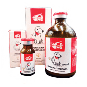 Home penicilina combinada antibiÓtico (cont. net. 100 ml.)