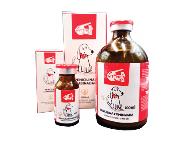 penicilina combinada antibiÓtico (cont. net. 100 ml.) penicilina combinada antibiÓtico (cont. net. 100 ml.)