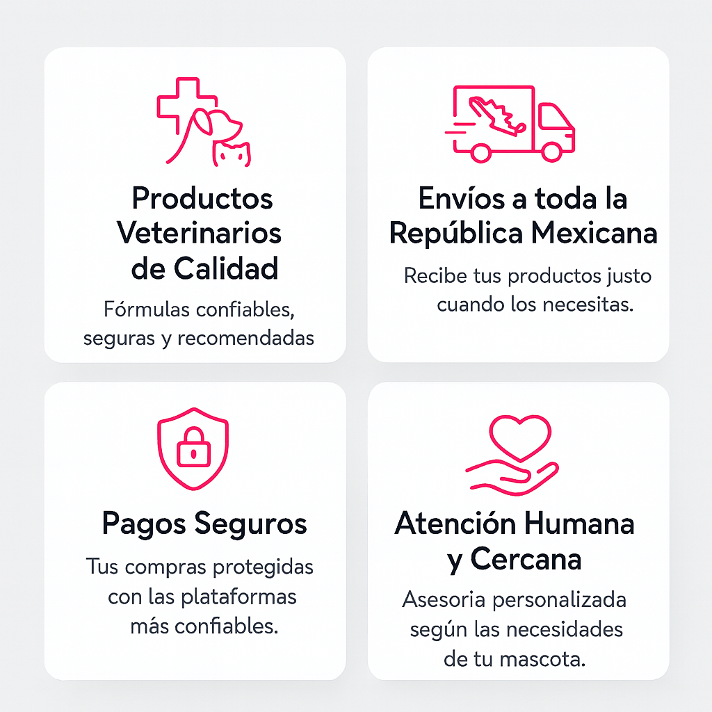 promesa de valor chihuahua 3