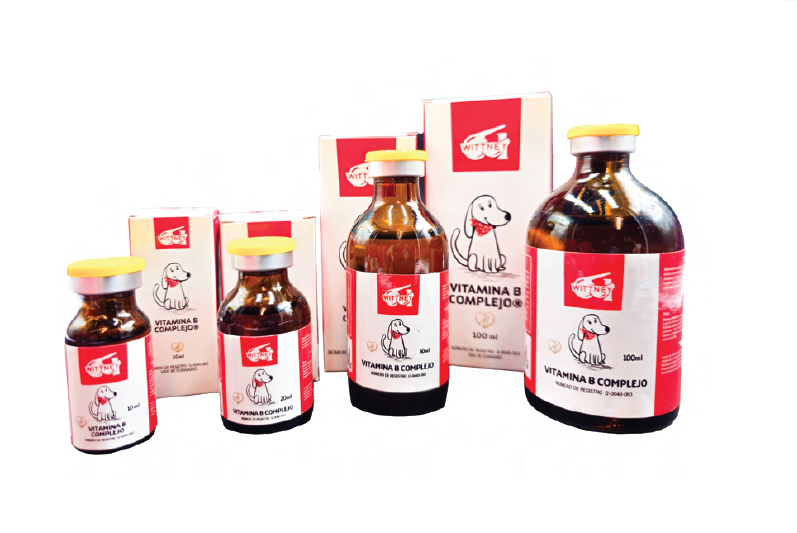 vitamina b complejo (cont. net. 100 ml) vitamina b complejo (cont. net. 100 ml)