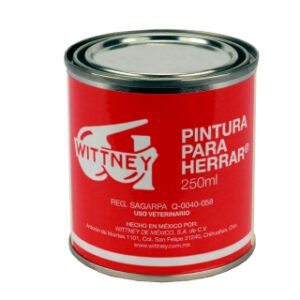 Home pintura para herrar