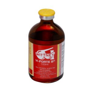 Home vi forte +b multivitamínico (100 ml)